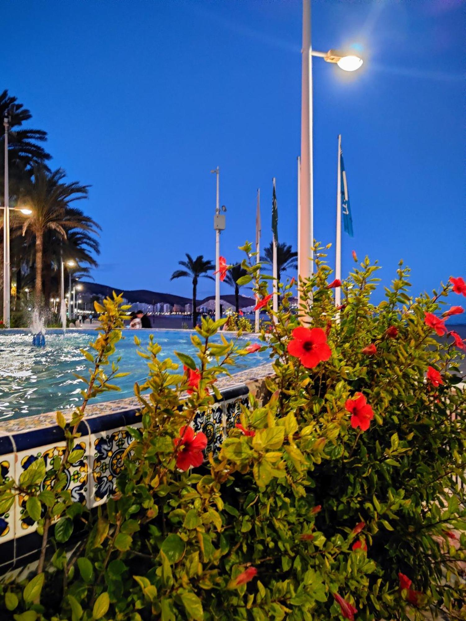 Cullera Confort Playa Exterior foto